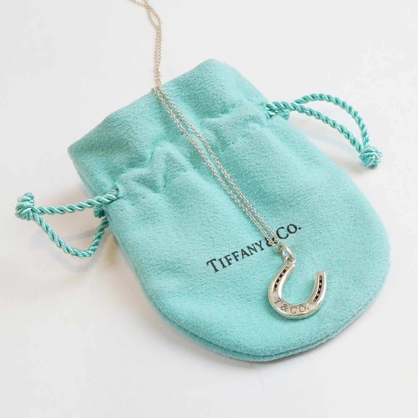 Tiffany & Co Lucky Horseshoe Pendant & Necklace 925 Silver Rare