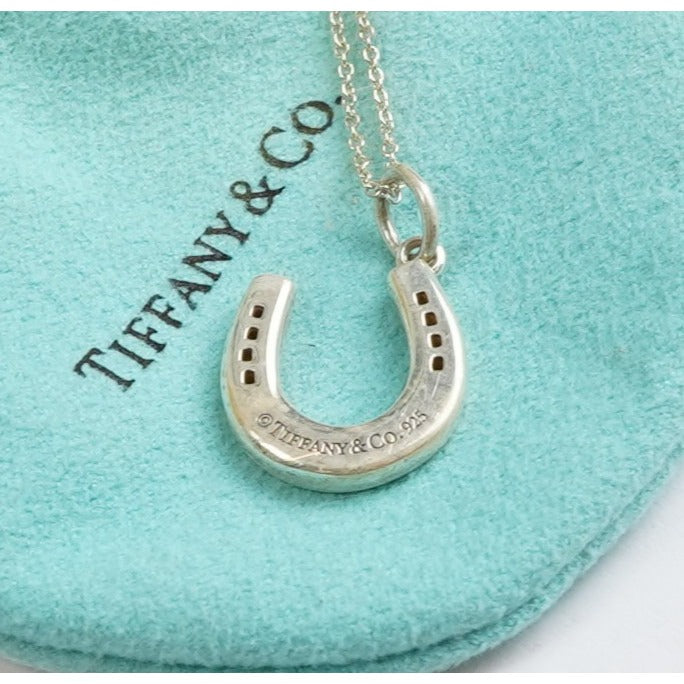 Tiffany & Co Lucky Horseshoe Pendant & Necklace 925 Silver Rare