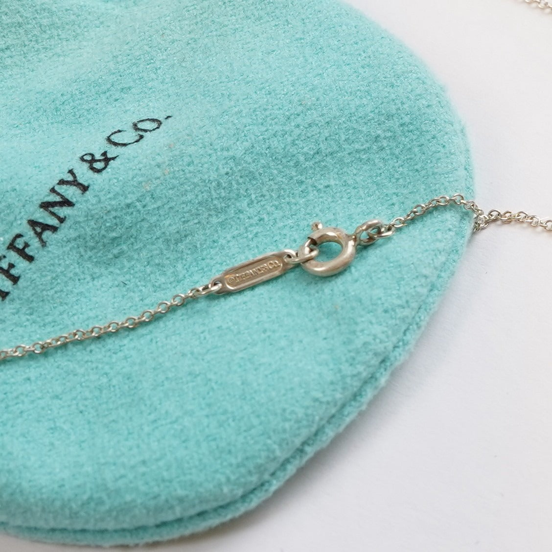 Tiffany & Co Lucky Horseshoe Pendant & Necklace 925 Silver Rare