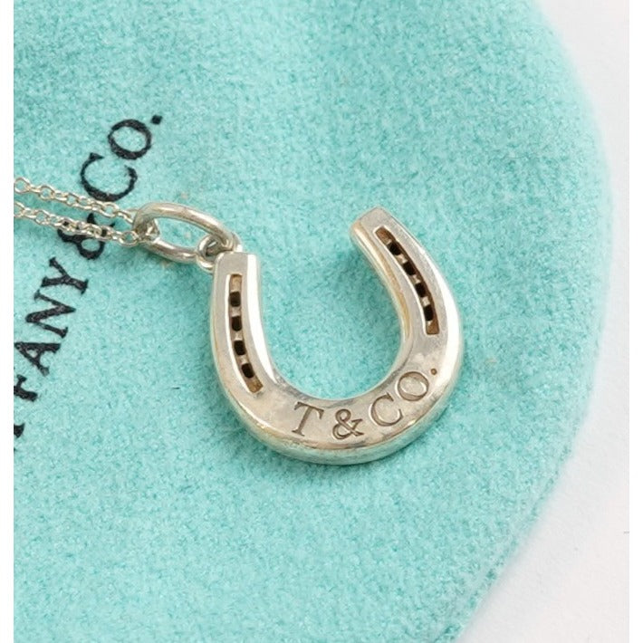 Tiffany & Co Lucky Horseshoe Pendant & Necklace 925 Silver Rare