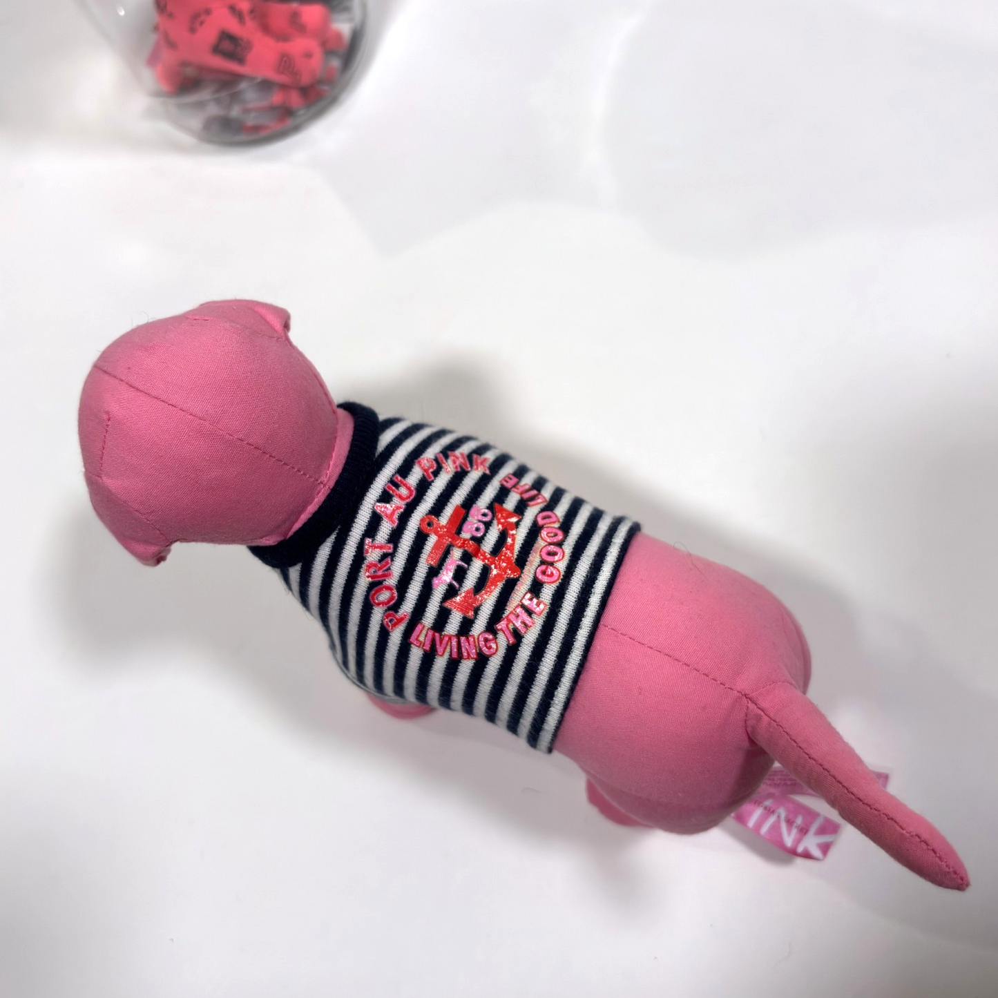 VS Pink Water Bottle & Plush